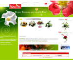 fleurs-fleuristes-maroc-fleuritel